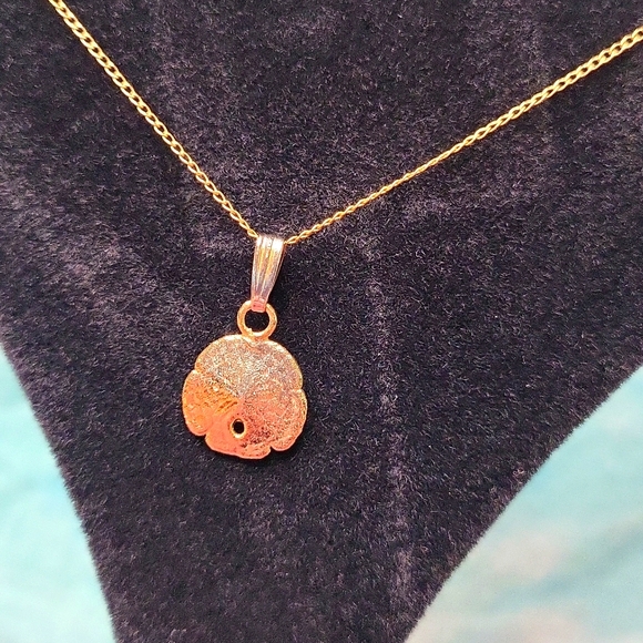 Sand Dollar Set - Picture 5 of 5